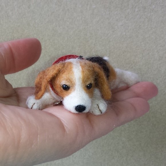 Sweetheart beagle pup