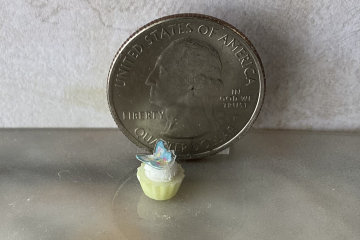 1:12 Dollhouse miniature cupcake with white cream and blue butterfly topper
