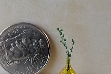1:12 miniature tear drop shaped flower vase in transparent yellow comes with green plant