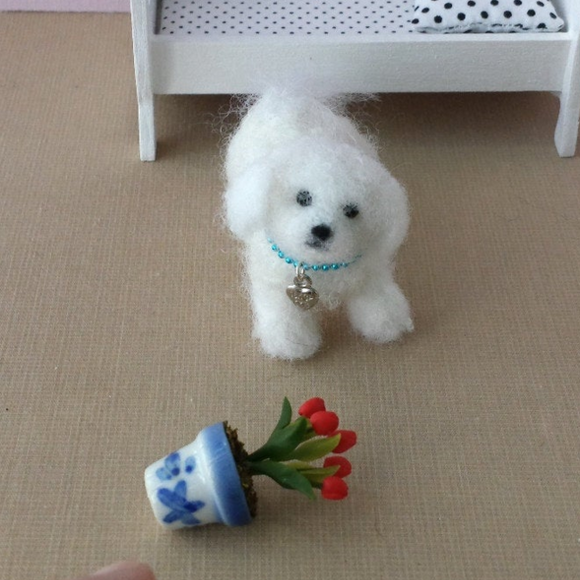 What did you do? Bichon friseeee!