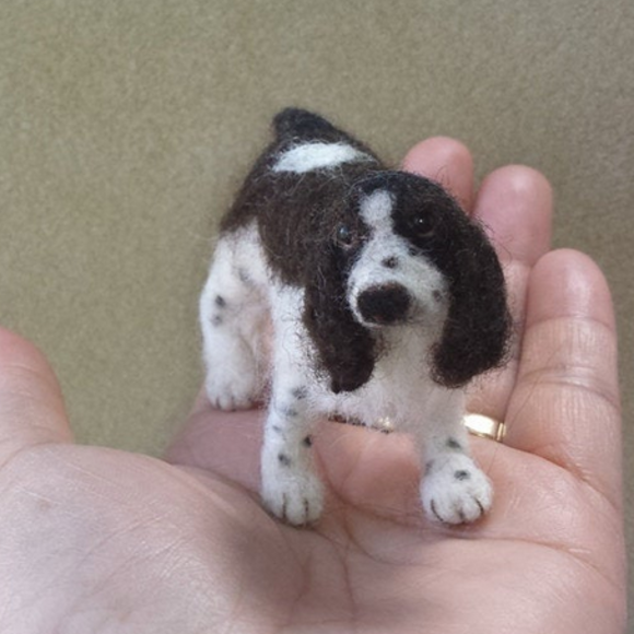 English springer spaniel 