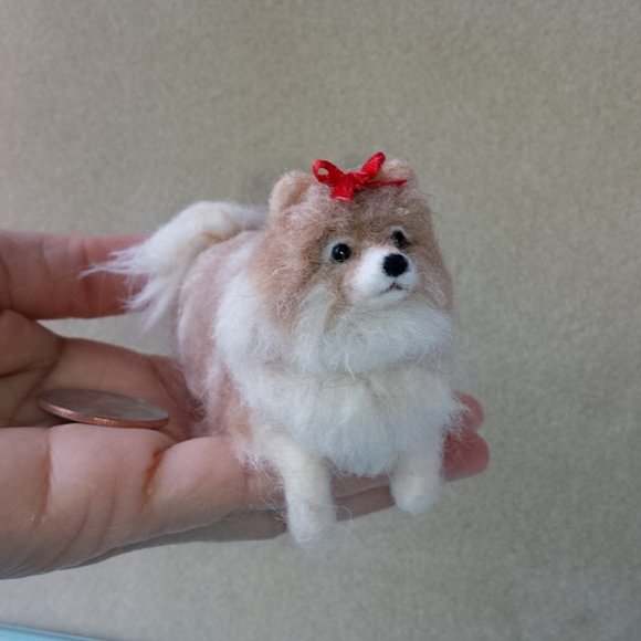 Pretty Pomeranian