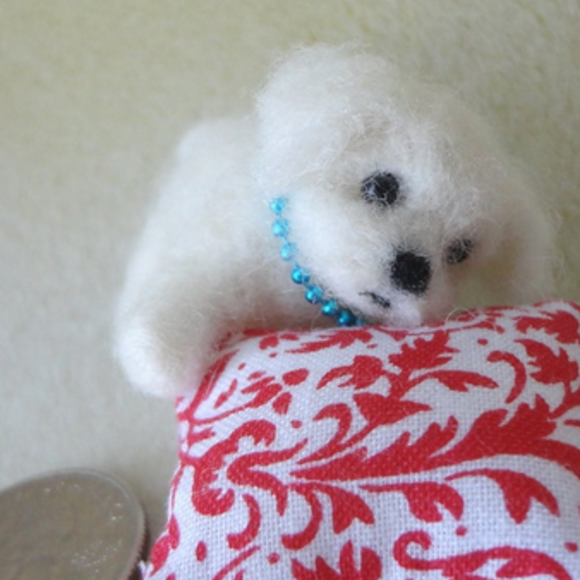 Maltese pup