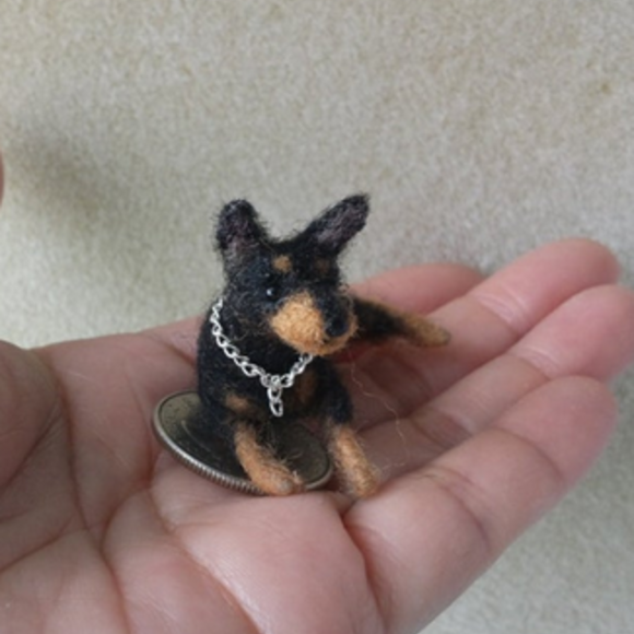 Miniature pinscher