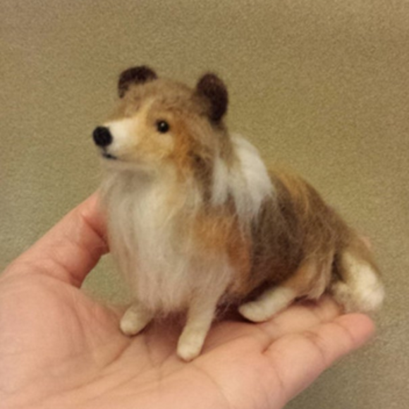 Sheltie