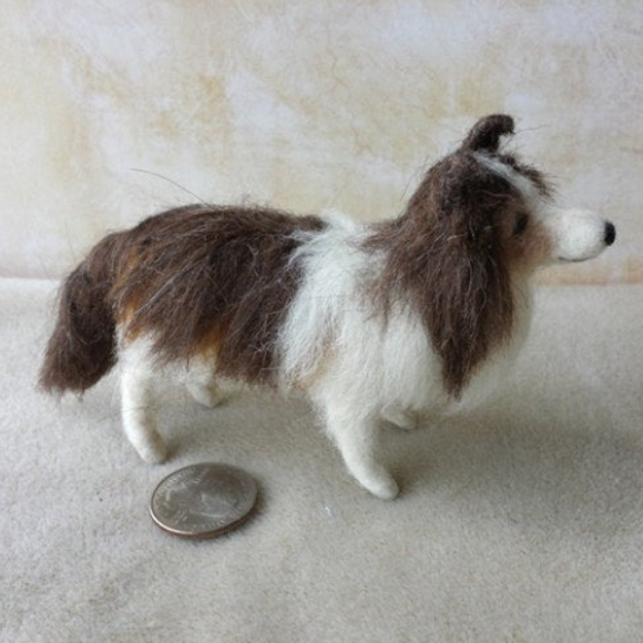 Shetland sheepdog