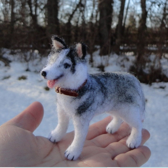 Siberian husky