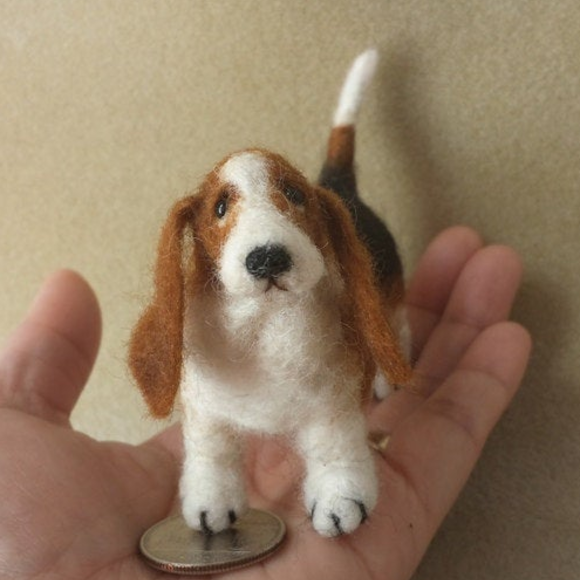 Soulful basset hound