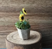 1:12 Dollhouse miniature sunflowers in ceramic planter with tiny blue flowers