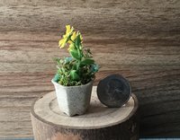 1:12 Dollhouse miniature sunflowers in ceramic planter with tiny blue flowers