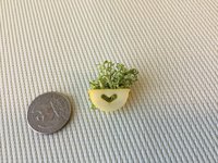1:12 Dollhouse miniature wall planter with moss REF Small yellow moss