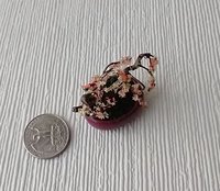 RESERVED 1:12 Dollhouse handcrafted bonsai tree Bonsai cherry blossom tree Dollhouse bonsai or home decor