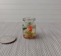 1:12 dollhouse miniature glass fish bowl with one solitary goldfish - dark green plant