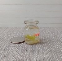 1:12 dollhouse miniature glass fish bowl with one solitary goldfish - light green plant