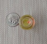 1:12 dollhouse miniature glass fish bowl with one solitary goldfish - light green plant