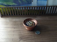 1:12 Dollhouse miniature fire pit Battery operated firepit in copper tone with flickering embers and wood sticks Dual function firepit/ patio coffee table