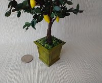 1:12 Dollhouse miniature lemon tree in unique square planter Patio tree in container