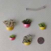 1:12 Dollhouse miniature wall planter with moss REF Small yellow moss