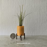 1:12 Dollhouse MCM style planter on stand Miniature modern planter REF 2