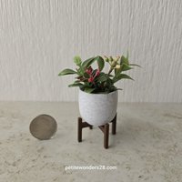 1:12 Dollhouse MCM style planter on stand Miniature modern planter REF Round bottom pot