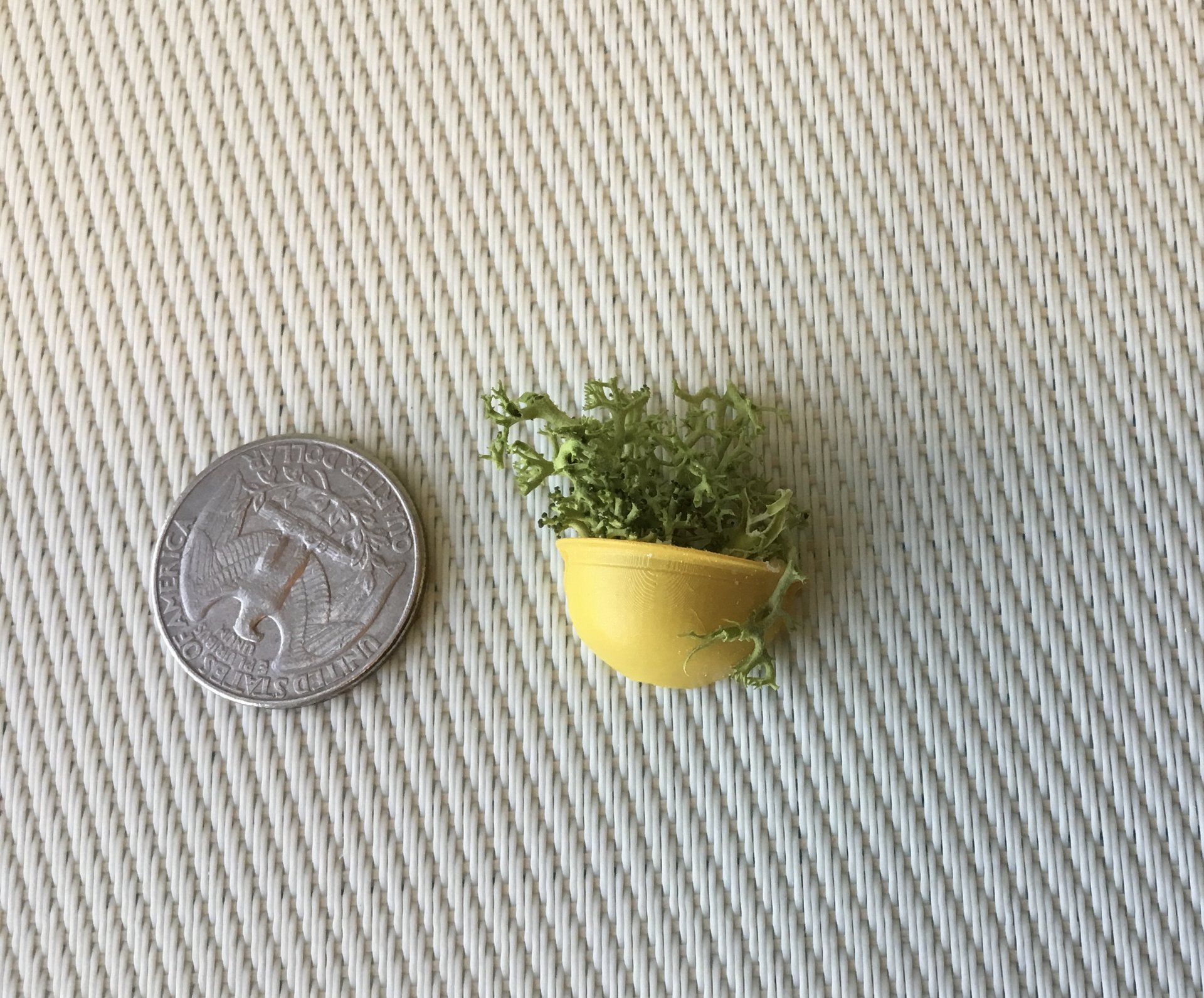 1:12 Dollhouse miniature wall planter with moss REF Small yellow moss