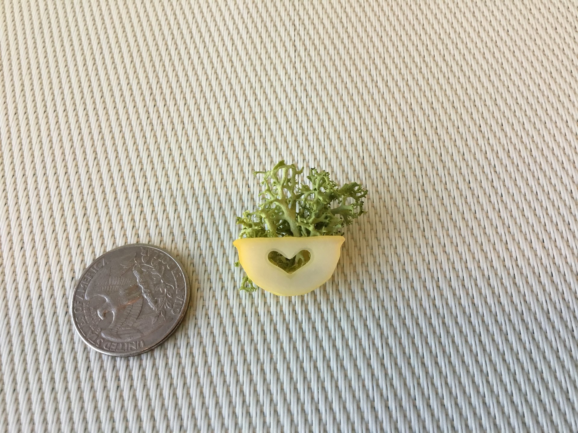 1:12 Dollhouse miniature wall planter with moss REF Small yellow moss