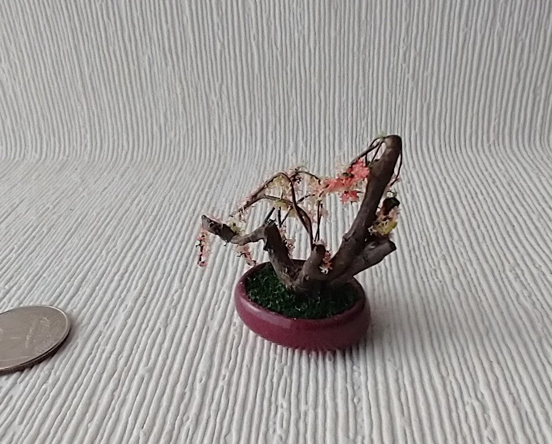 RESERVED 1:12 Dollhouse handcrafted bonsai tree Bonsai cherry blossom tree Dollhouse bonsai or home decor