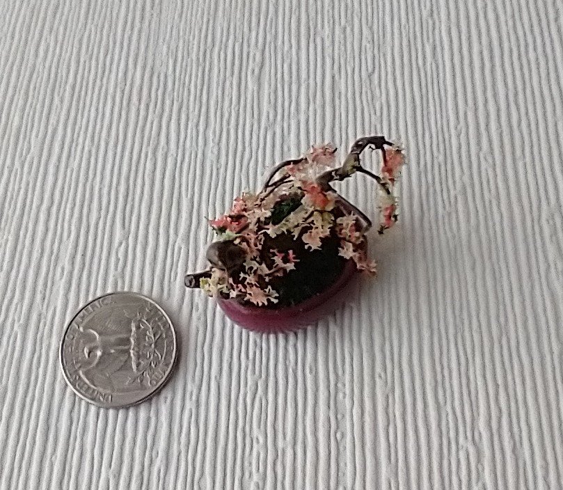 RESERVED 1:12 Dollhouse handcrafted bonsai tree Bonsai cherry blossom tree Dollhouse bonsai or home decor