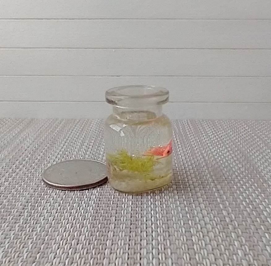 1:12 dollhouse miniature glass fish bowl with one solitary goldfish - light green plant