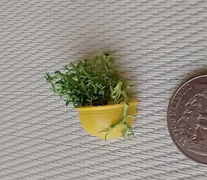 1:12 Dollhouse miniature wall planter with moss REF Small yellow moss