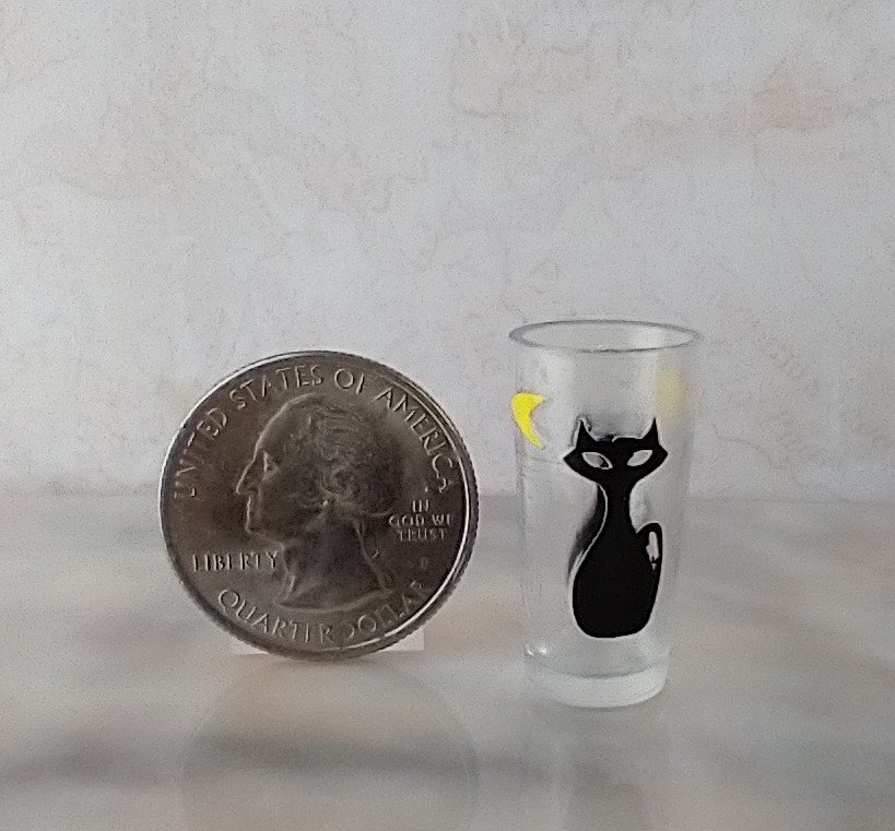 1:6 Play scale dollhouse miniature MCM themed tumbler with atomic cat and boomerang decals REF Clear