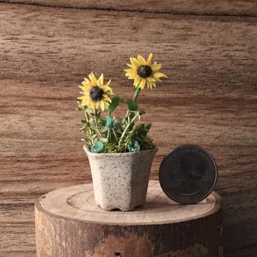 1:12 Dollhouse miniature sunflowers in ceramic planter with tiny blue flowers