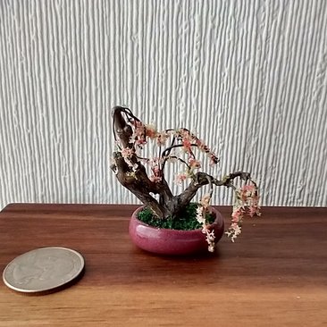RESERVED 1:12 Dollhouse handcrafted bonsai tree Bonsai cherry blossom tree Dollhouse bonsai or home decor