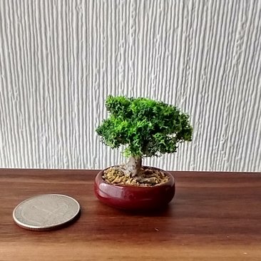 1:12 Dollhouse handcrafted bonsai tree with different shades of green Dollhouse plant or home decor