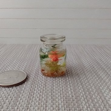 1:12 dollhouse miniature glass fish bowl with one solitary goldfish - dark green plant
