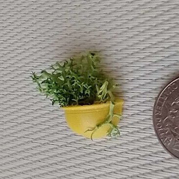 1:12 Dollhouse miniature wall planter with moss REF Small yellow moss