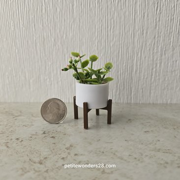 1:12 Dollhouse MCM style planter on stand Miniature modern planter REF 6